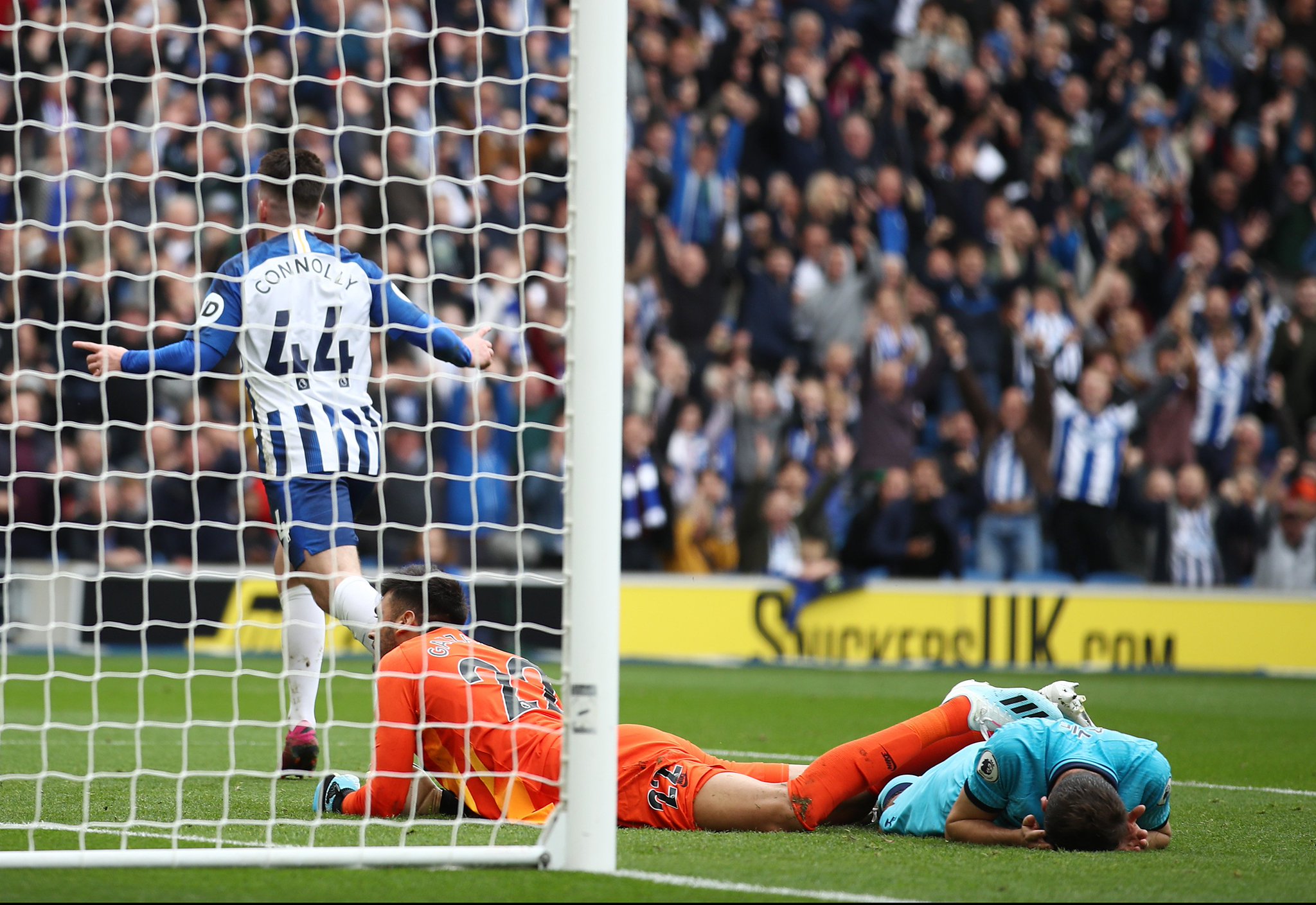 这不仅是张 这不仅是张