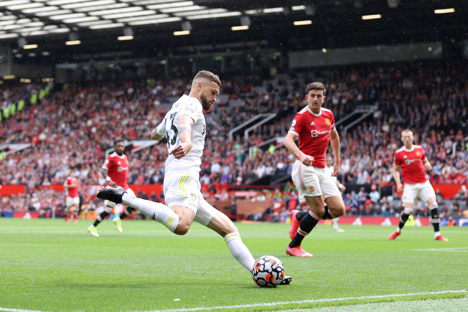 作为中国象 作为中国象